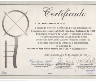 1995-09- I CONGRESSO DO COMITE ASAMI- FIXADORES EXTERNOS DA SBOT
