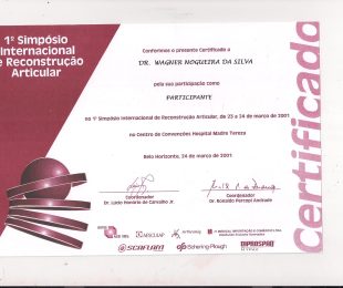 2001-03- 1 SIMPOSIO INTERNACIONAL DE RECONSTRUCAO ARTICULAR