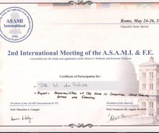 2001-05- 2ND INTERNATIONAL MEETING OF THE ASAMI & FE