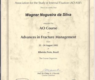 2002-08- AO COURSE ON ADVANCES IN FRACTURE MANAGEMENT