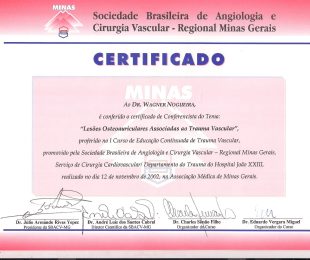 2002-11- I CURSO DE EDUCACAO CONTINUADA DE TRAUMA VASCULAR