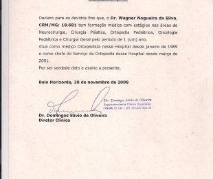 2008-11 – DECLARACAO BALEIA