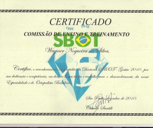 2010-12 – COMISSAO DE ENSINO E TREINAMENTO