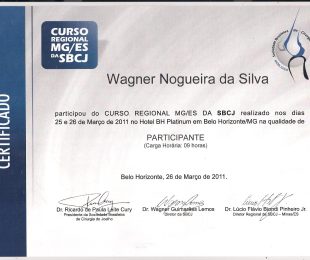 2011- 01- 2010-12 COMITE ASAMI – MEMBRO EFETIVO