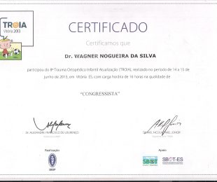 2013-06- 8 TROIA – TRAUMA ORTOPEDICO INFANTIL ATUALIZACAO