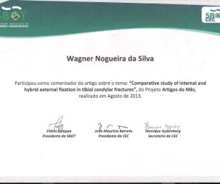 2013-08- ARTIGO DO MES