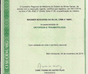 2014-11 – CFM-CRM-MG