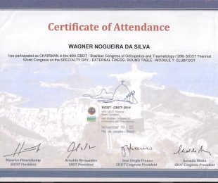 2014-11 – XXVI SICOT TRIENNIAL WORLD CONGRESS