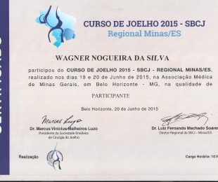 2015-06 – CURSO DE JOELHO