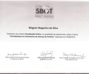 2015-08 – SBOT – ATUALIZACAO ONLINE