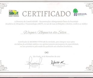 2015-11 – MEMBRO TITULAR