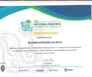 2018-06 – XIII CONGRESSO BRASILEIRO DE ORTOPEDIA PEDIATRICA