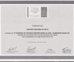 2019-04 1 SIMPOSIO DE CIRURGIA PRESERVADORA SBQ